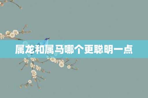 属龙和属马哪个更聪明一点