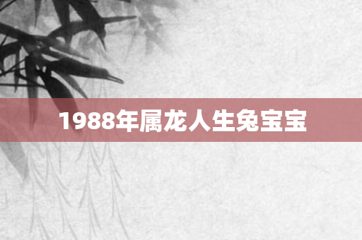 1988年属龙人生兔宝宝
