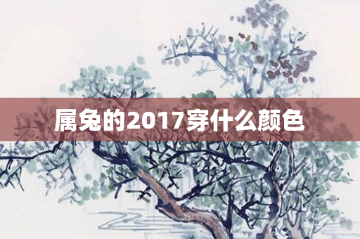 属兔的2017穿什么颜色