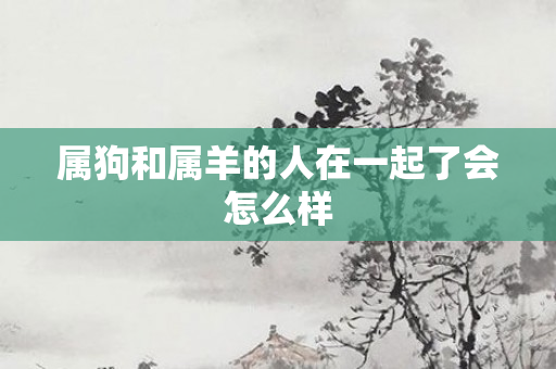 属狗和属羊的人在一起了会怎么样