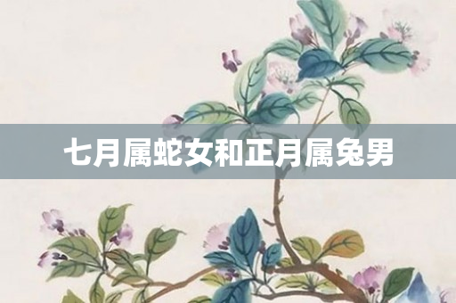 七月属蛇女和正月属兔男