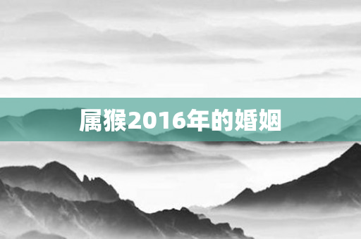 属猴2016年的婚姻