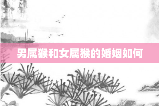 男属猴和女属猴的婚姻如何