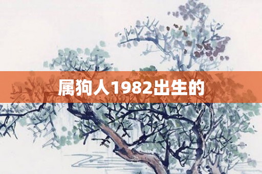属狗人1982出生的