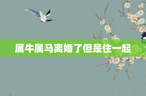 属牛属马离婚了但是住一起