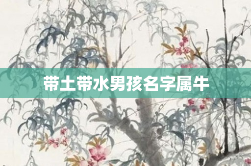 带土带水男孩名字属牛