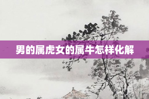 男的属虎女的属牛怎样化解