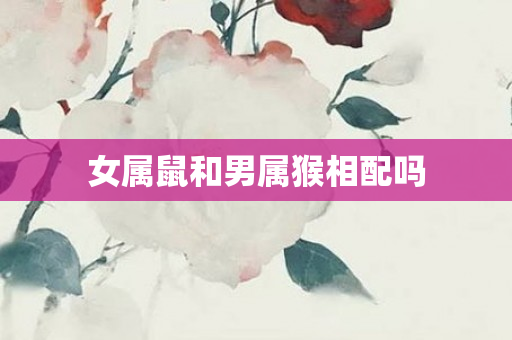 女属鼠和男属猴相配吗