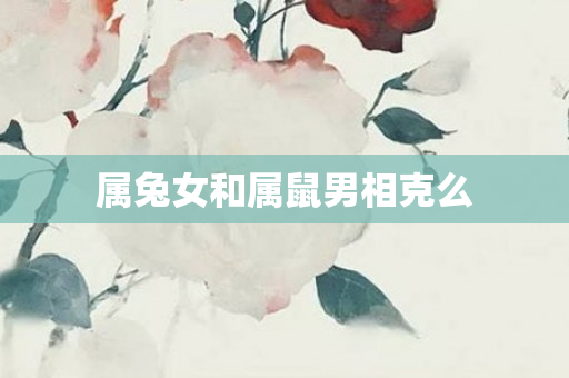 属兔女和属鼠男相克么