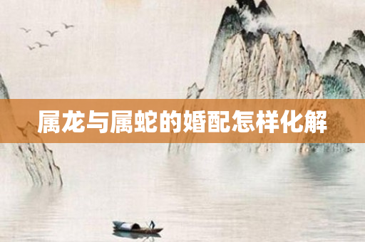 属龙与属蛇的婚配怎样化解
