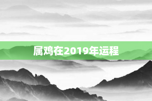 属鸡在2019年运程