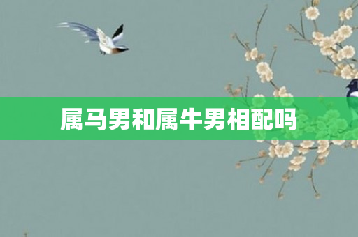 属马男和属牛男相配吗