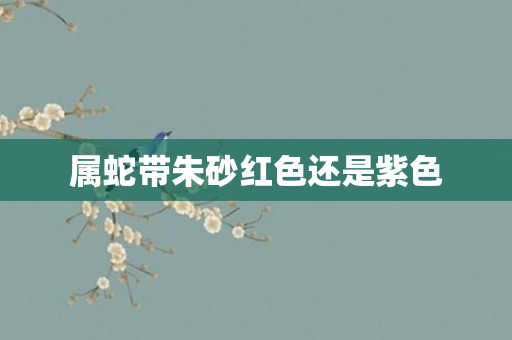 属蛇带朱砂红色还是紫色