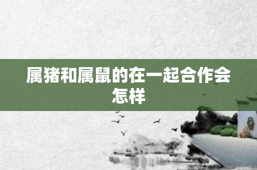 属猪和属鼠的在一起合作会怎样