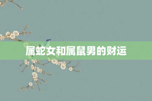 属蛇女和属鼠男的财运