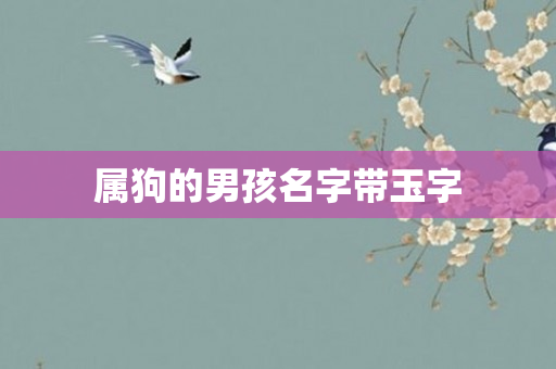 属狗的男孩名字带玉字