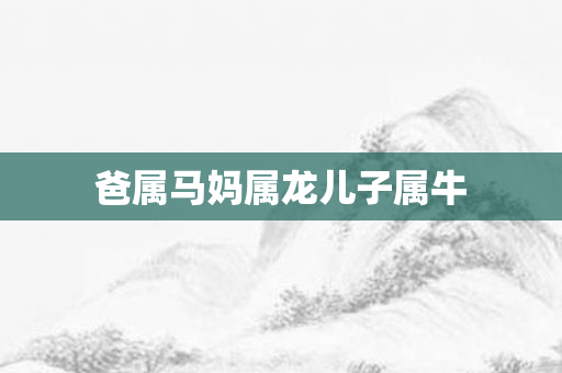 爸属马妈属龙儿子属牛
