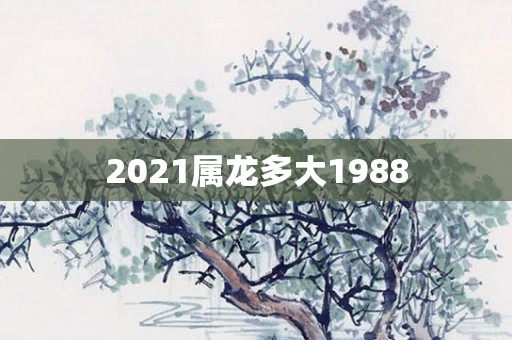 2021属龙多大1988