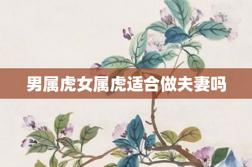 男属虎女属虎适合做夫妻吗