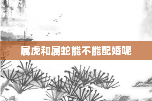 属虎和属蛇能不能配婚呢