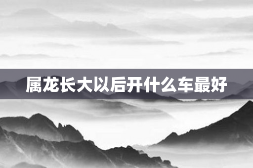 属龙长大以后开什么车更好