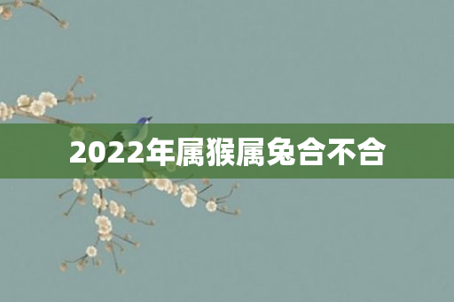 2022年属猴属兔合不合