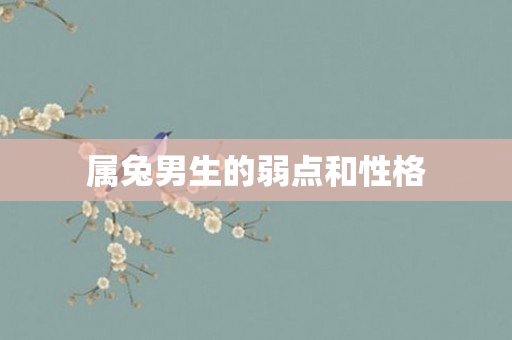 属兔男生的弱点和性格