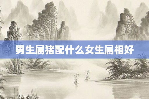 男生属猪配什么女生属相好