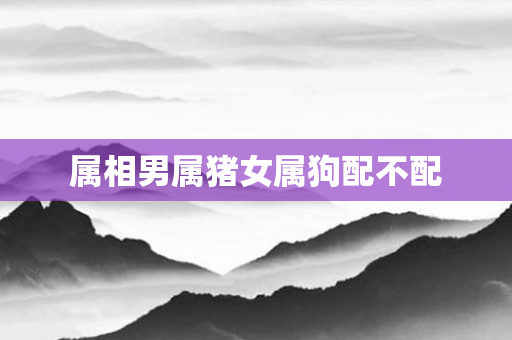 属相男属猪女属狗配不配