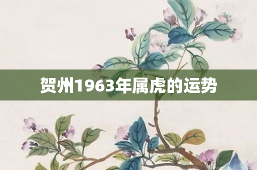 贺州1963年属虎的运势