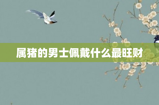 属猪的男士佩戴什么最旺财