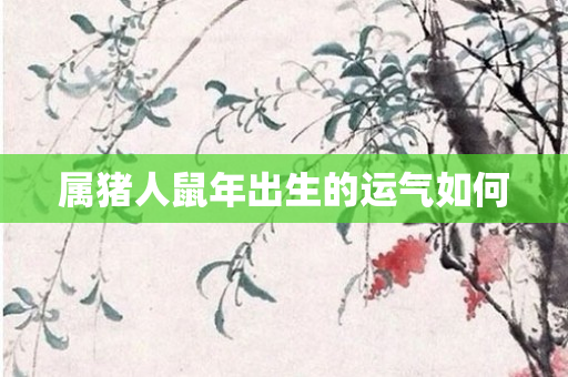 属猪人鼠年出生的运气如何
