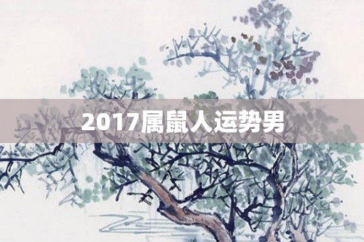 2017属鼠人运势男