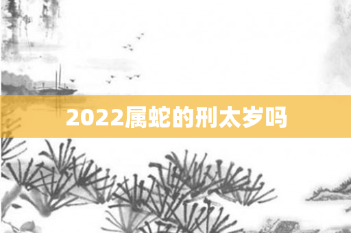 2022属蛇的刑太岁吗