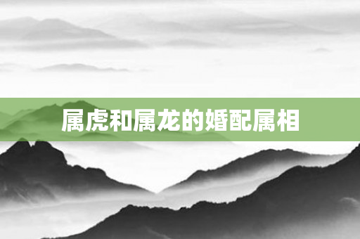 属虎和属龙的婚配属相