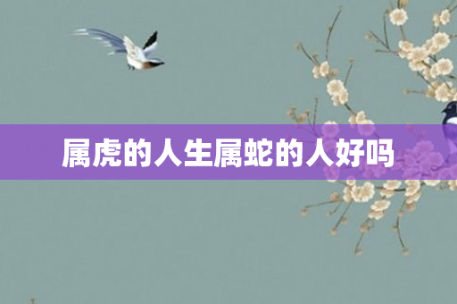 属虎的人生属蛇的人好吗