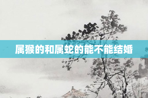 属猴的和属蛇的能不能结婚