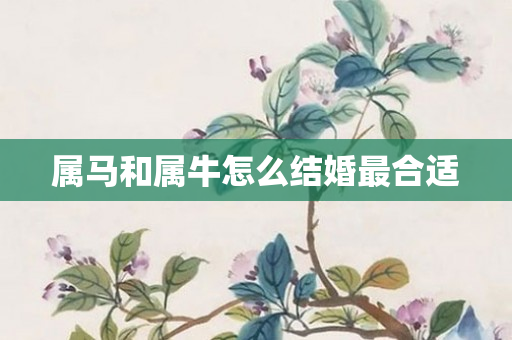 属马和属牛怎么结婚最合适