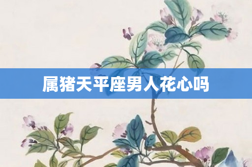 属猪天平座男人花心吗