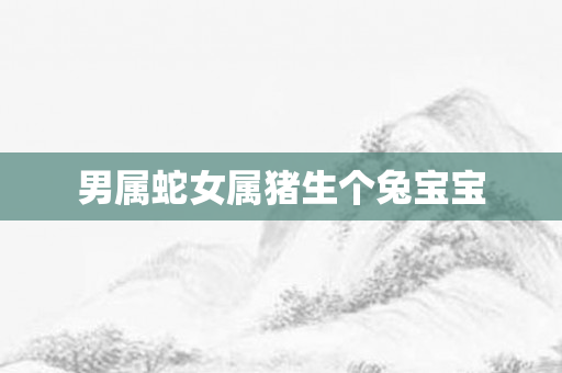男属蛇女属猪生个兔宝宝