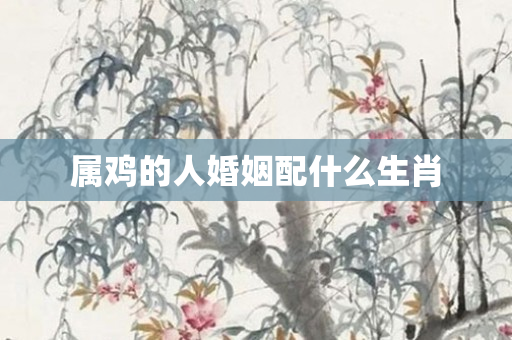 属鸡的人婚姻配什么生肖