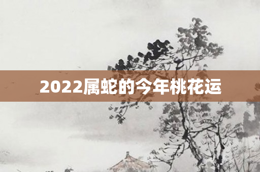 2022属蛇的今年桃花运