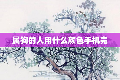 属狗的人用什么颜色手机壳