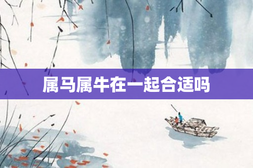 属马属牛在一起合适吗