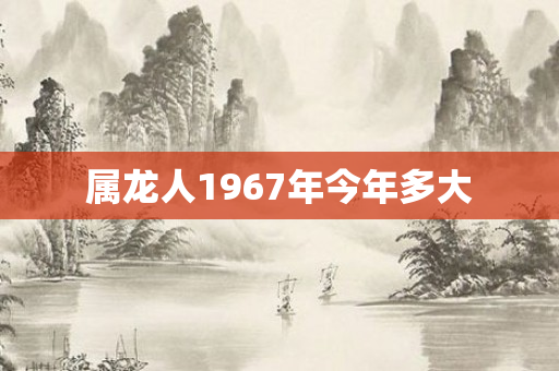 属龙人1967年今年多大