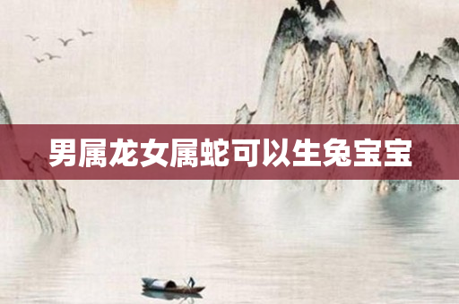 男属龙女属蛇可以生兔宝宝