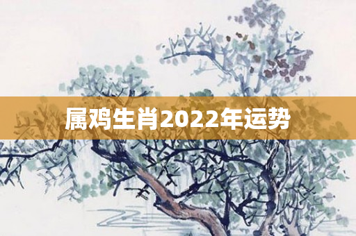 属鸡生肖2022年运势