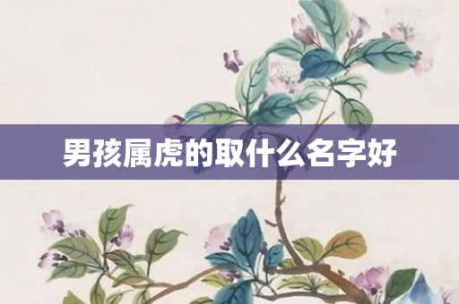男孩属虎的取什么名字好