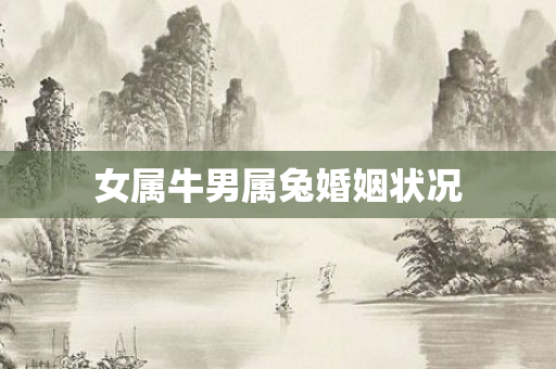 女属牛男属兔婚姻状况