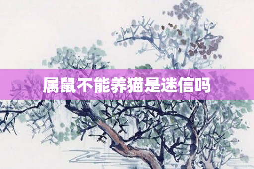 属鼠不能养猫是迷信吗